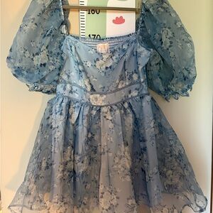 Francesca's Collections Blue Floral Dress